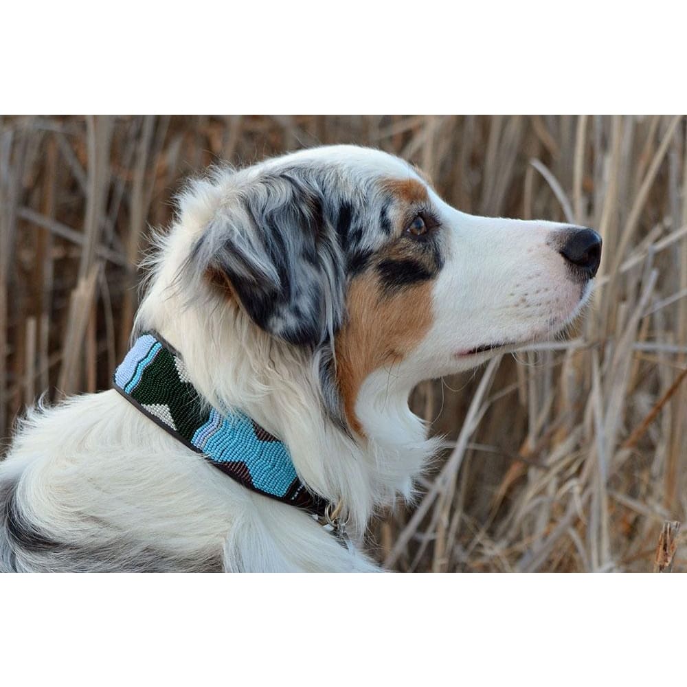 Jacaranda Beaded Dog Collar - Dog Collars - Maasai