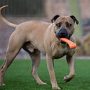 Jolly Chew Bone - Toss and Retrieve Dog Toy