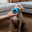 Jolly Dipper™ Dog Toy - Dog Chew Toy