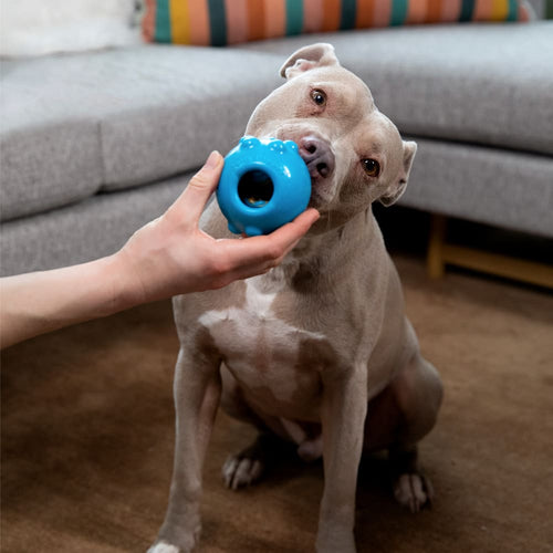 Jolly Dipper™ Dog Toy - Dog Chew Toy