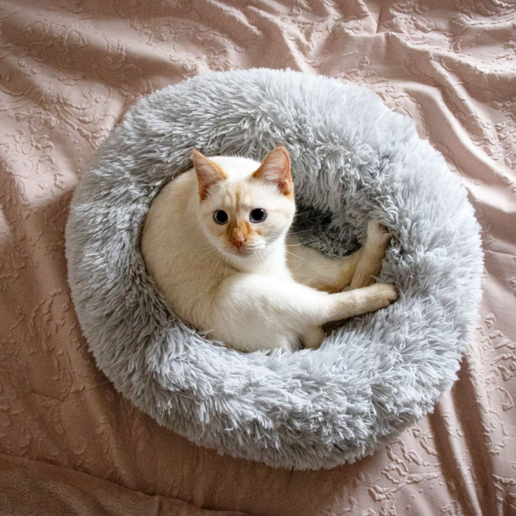 Kitty Kasa Plush Donut Cat Bed - Cat Beds
