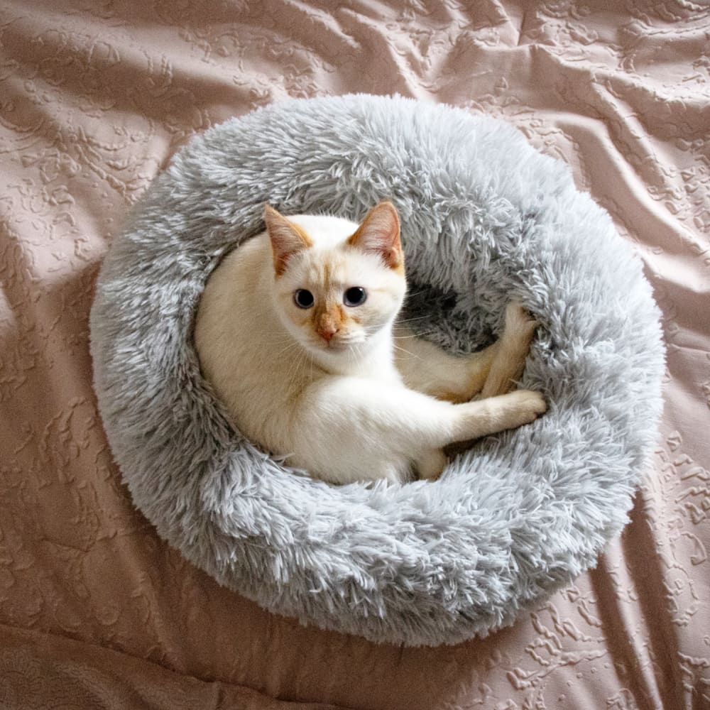 Kitty Kasa Plush Donut Cat Bed - Cat Beds