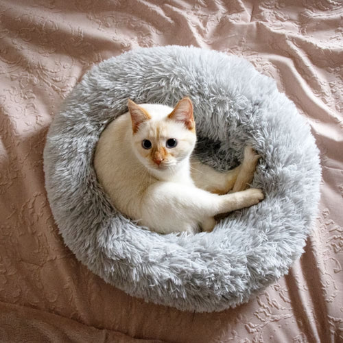 Kitty Kasa Plush Donut Cat Bed - Cat Beds