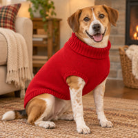 Knit Dog Sweaters - Clearance