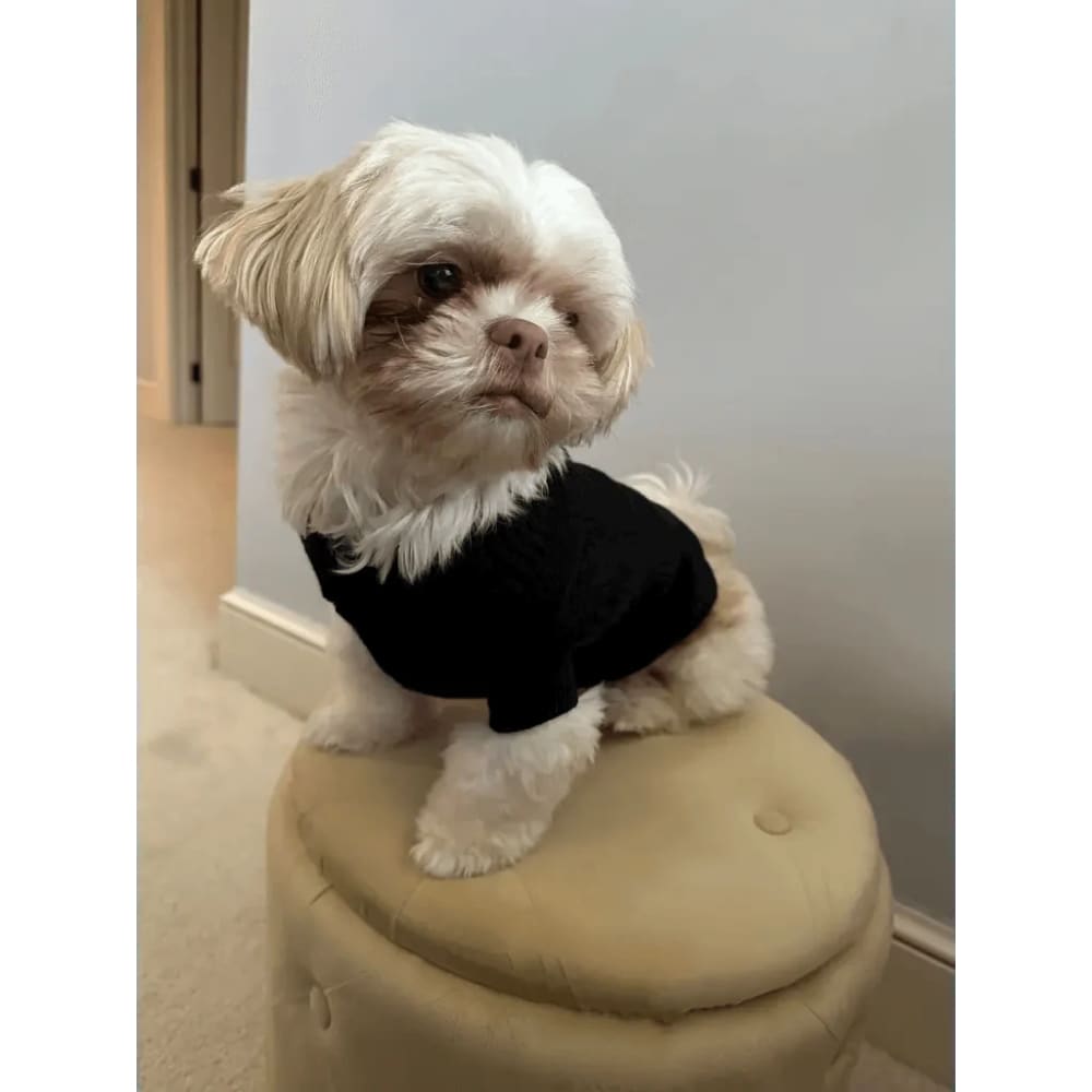 Knit Dog Sweaters - Clearance - Outlet - Pet Sweater