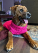 Knit Dog Sweaters - Clearance - Outlet - Pet Sweater