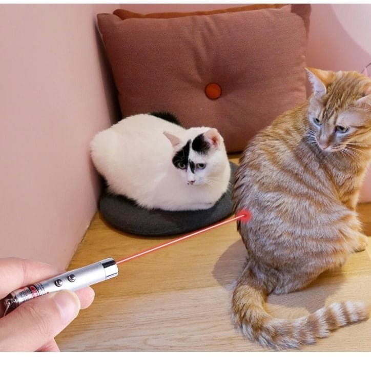 LED & Infrared Interactive Cat Laser Toy - Interactive Cat