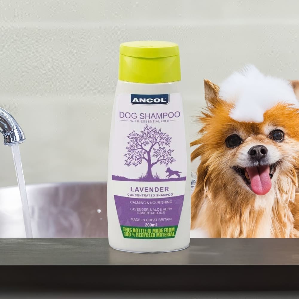 Lavender Dog Shampoo – Gentle Puppy Safe Essential Oils