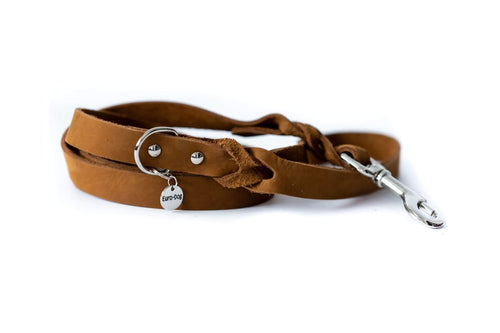 Leather Braided Dog Leash - Dog Leash - Euro Style