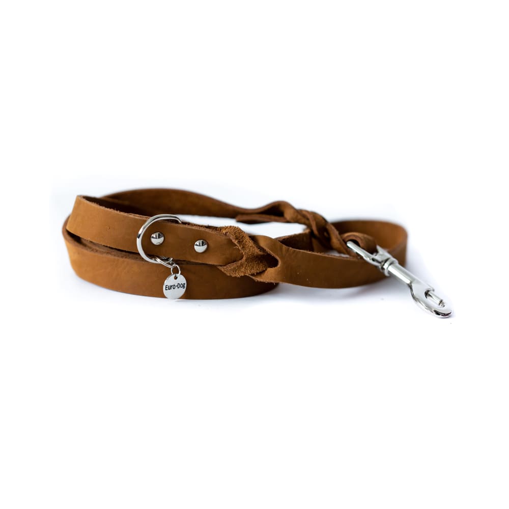 Leather Braided Dog Leash - Dog Leash - Euro Style