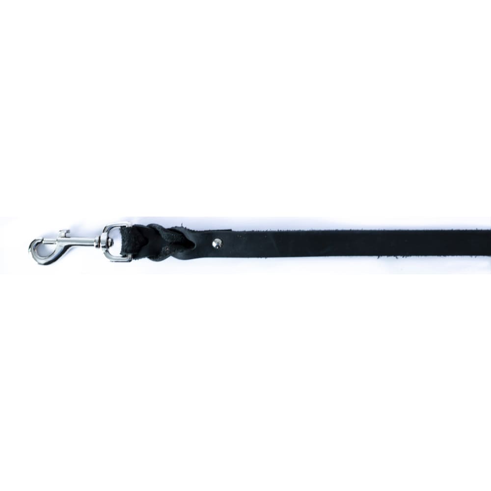 Leather Braided Dog Leash - Dog Leash - Euro Style