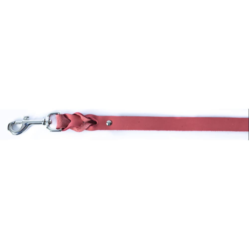 Leather Braided Dog Leash - Dog Leash - Euro Style