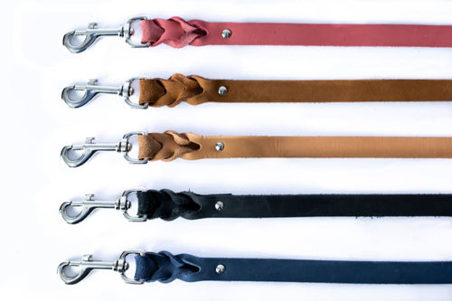 Leather Braided Dog Leash - Dog Leash - Euro Style