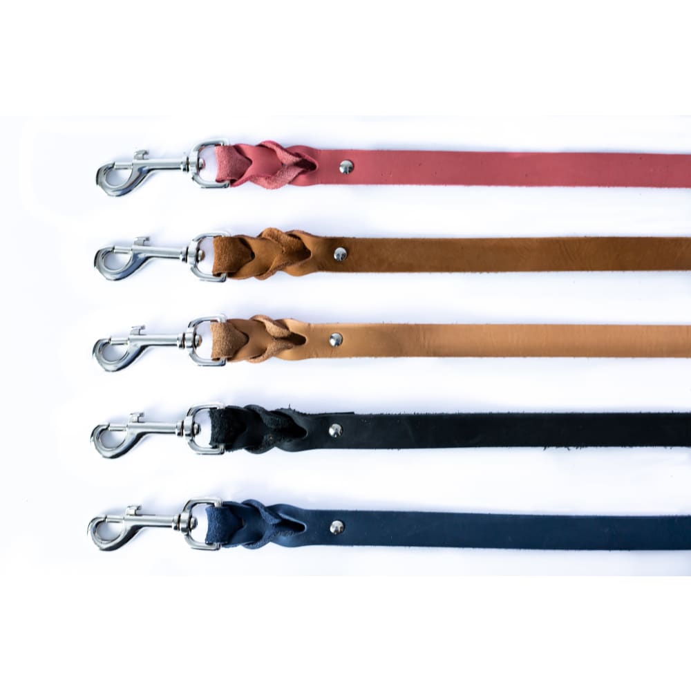 Leather Braided Dog Leash - Dog Leash - Euro Style