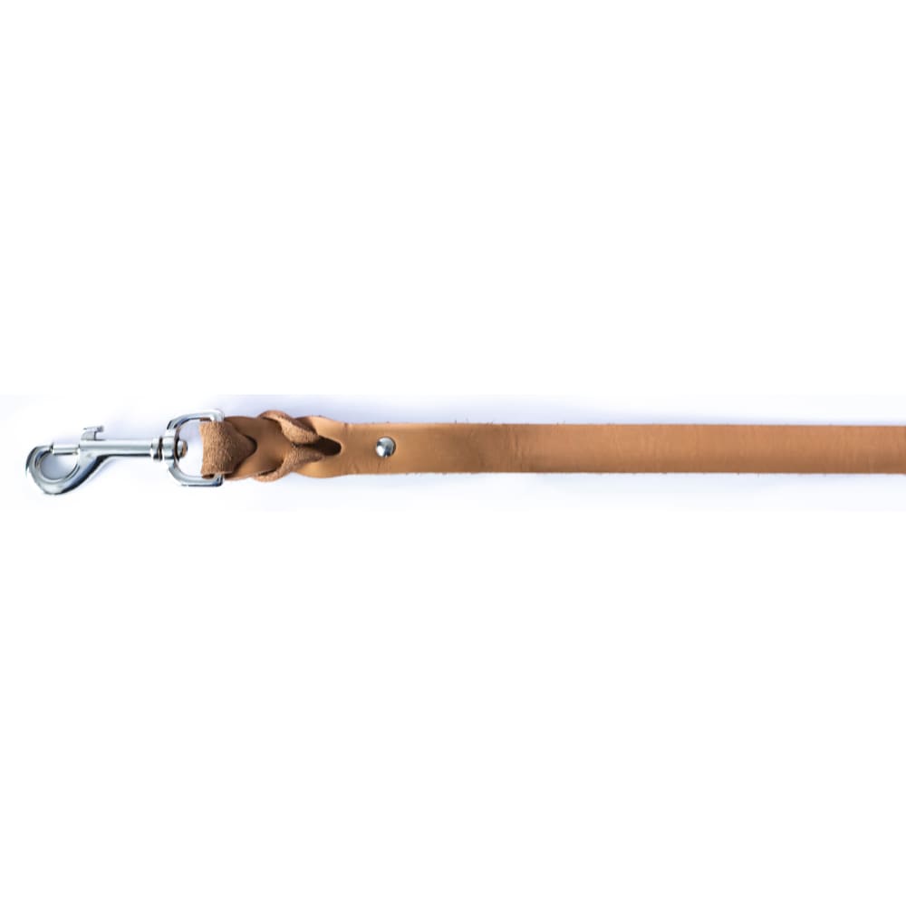 Leather Braided Dog Leash - Dog Leash - Euro Style