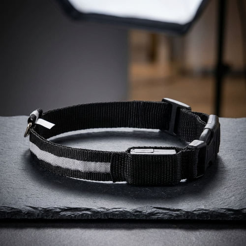 LED Light-Up Dog Collar for Night Walks - Dog Collars