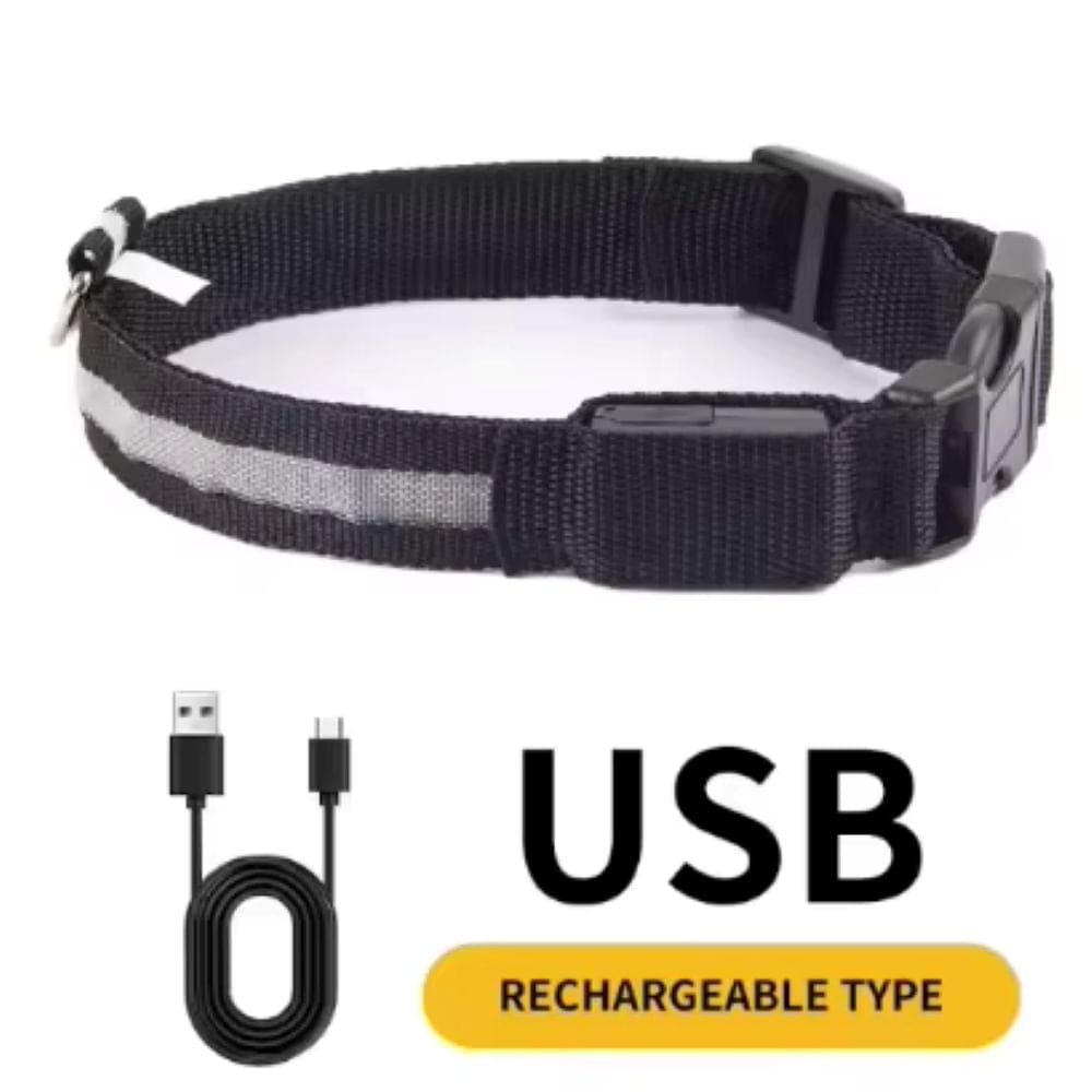 LED Light-Up Dog Collar for Night Walks - Dog Collars
