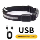 LED Light-Up Dog Collar for Night Walks - Dog Collars