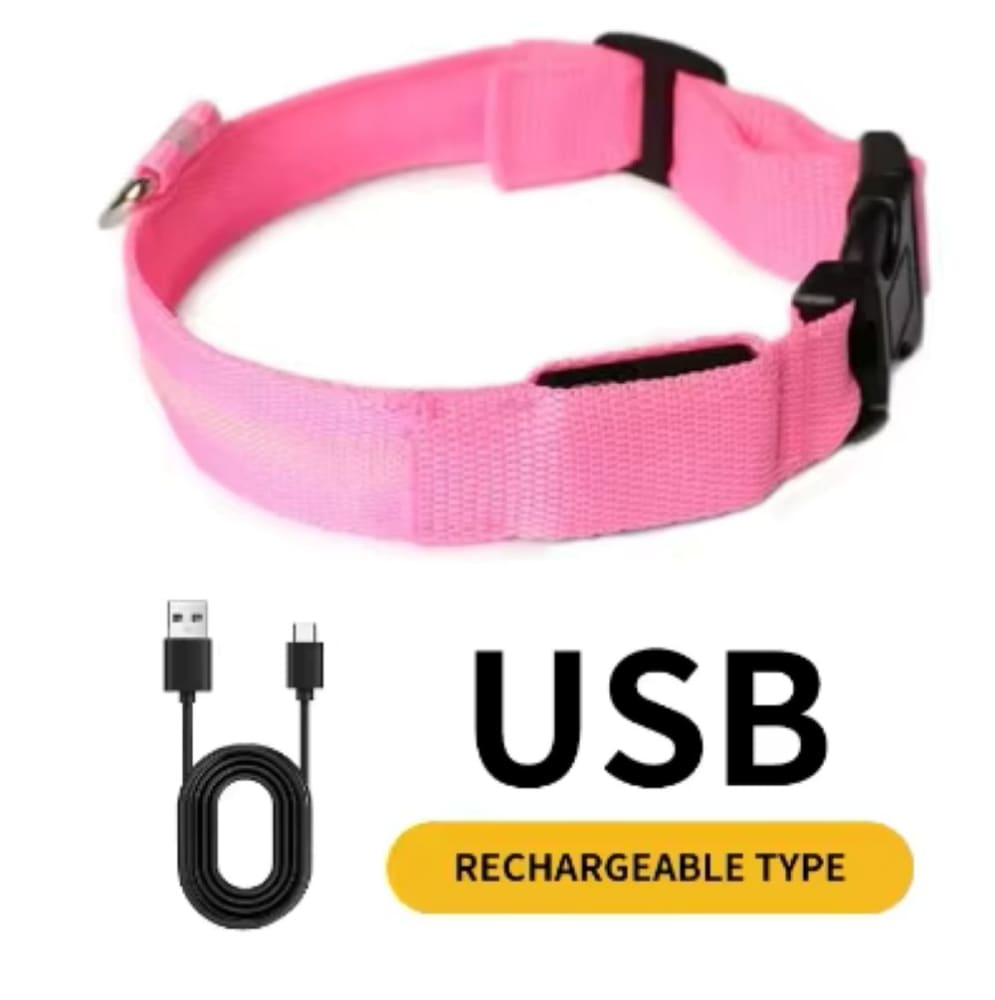 LED Light-Up Dog Collar for Night Walks