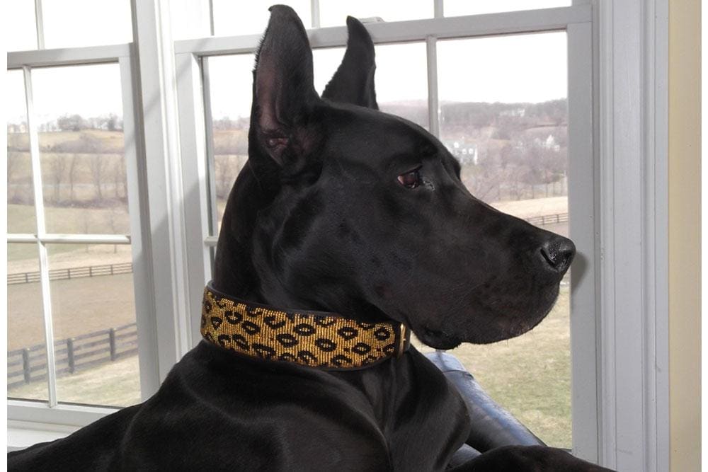 Leopard Beaded Dog Collar