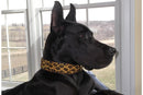 Leopard Beaded Dog Collar - Dog Collars - Maasai