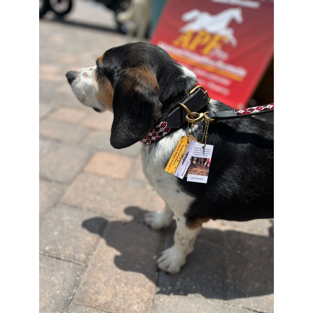 Maasai Shield Argyle Beaded Dog Collar - Dog Collars