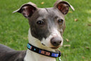 Malindi Beaded Dog Collar - Dog Collars - Maasai