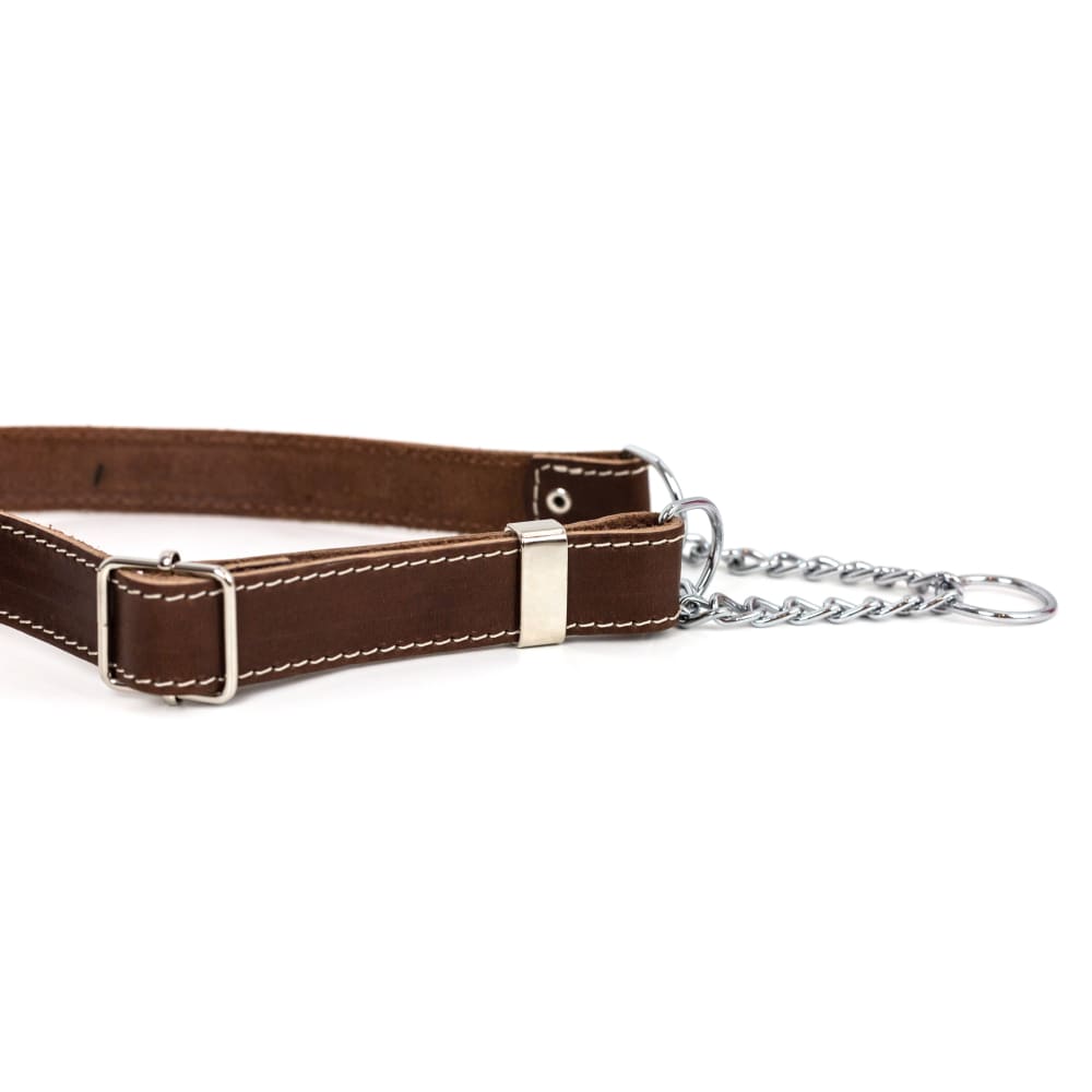 Martingale Chocolate Leather Dog Collar - Dog Collars
