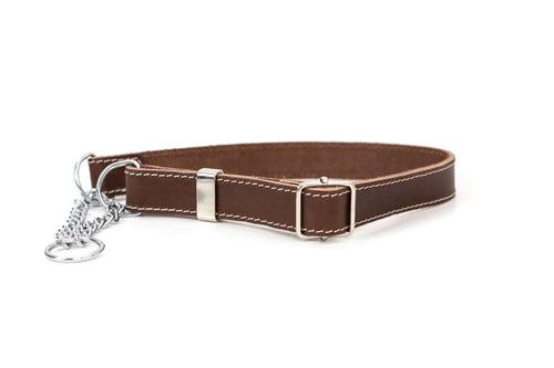 Martingale Chocolate Leather Dog Collar - Dog Collars