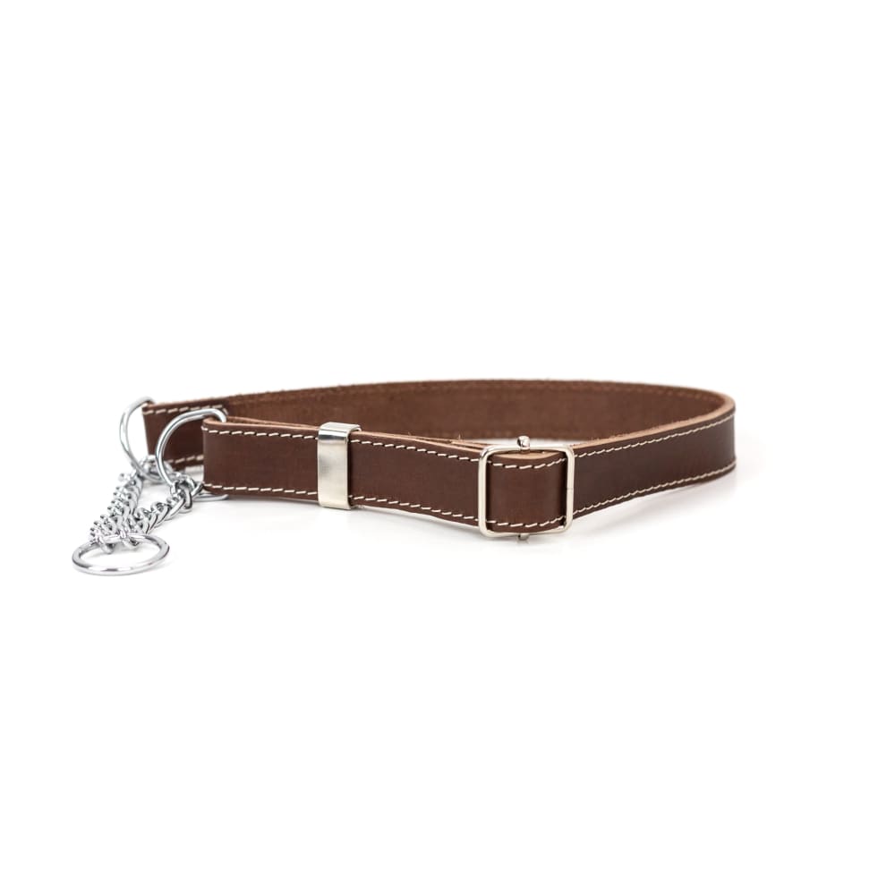Martingale Chocolate Leather Dog Collar - Dog Collars