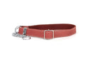 Martingale Coral Reef Leather Dog Collar - Dog Collars