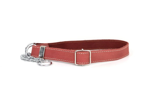 Martingale Coral Reef Leather Dog Collar - Dog Collars