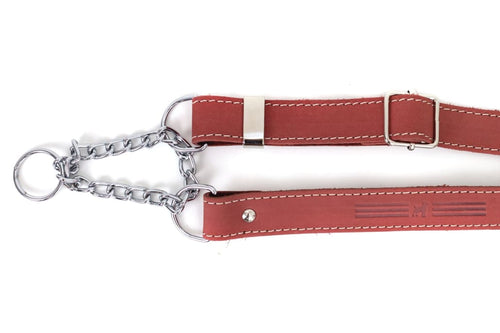 Martingale Coral Reef Leather Dog Collar - Dog Collars