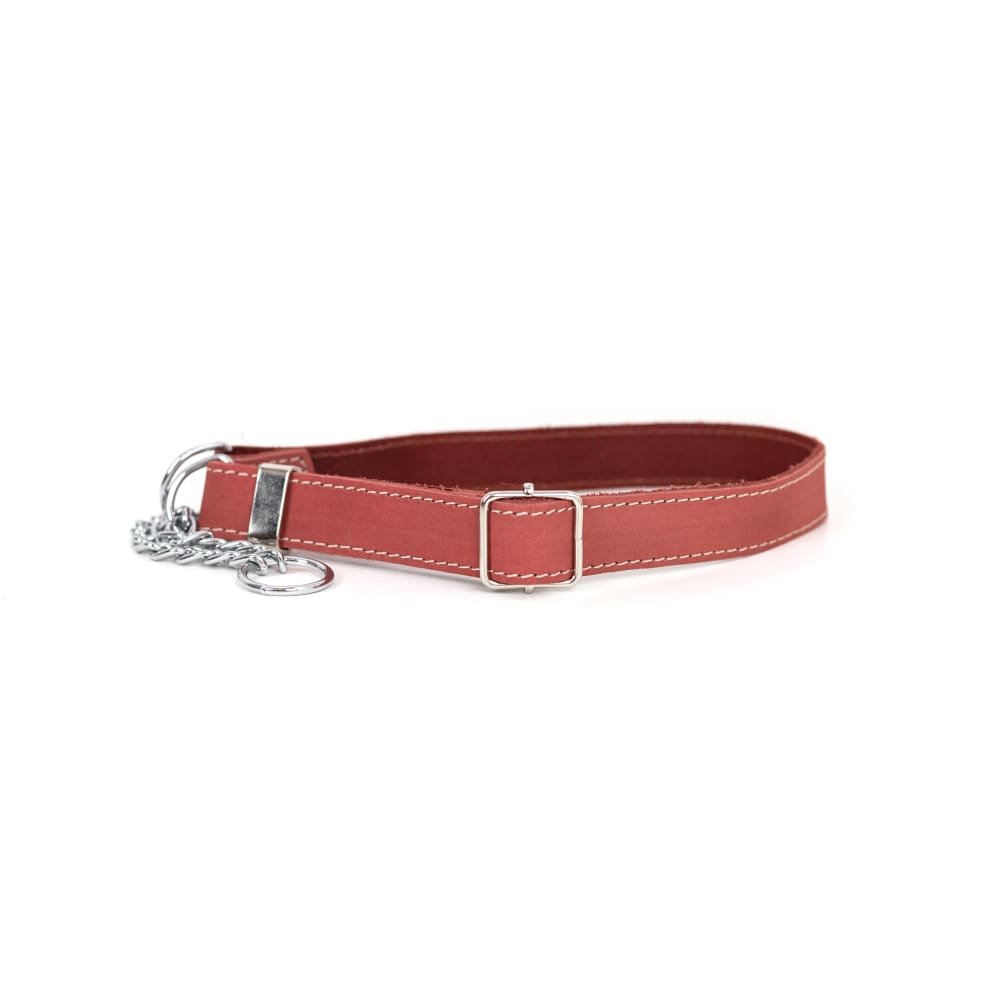 Martingale Coral Reef Leather Dog Collar - Dog Collars