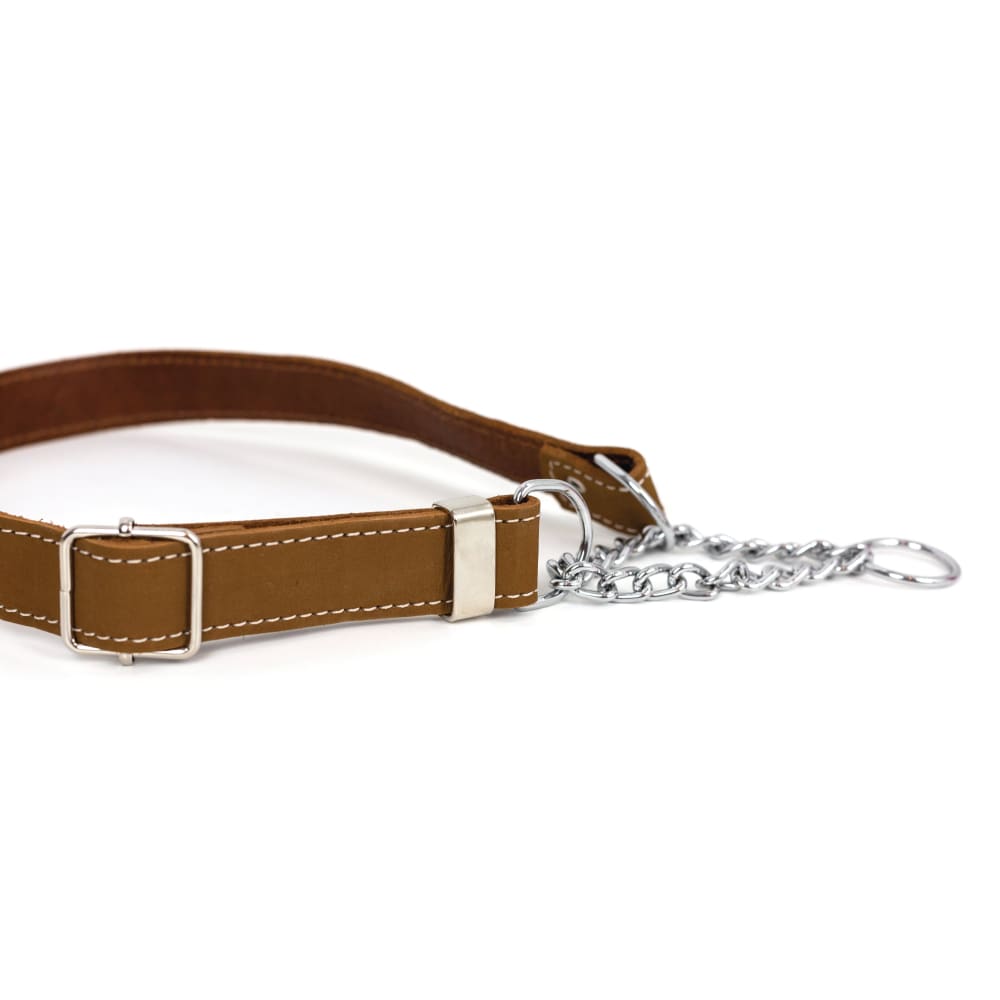 Martingale Earth Brown Leather Dog Collar - Dog Collars