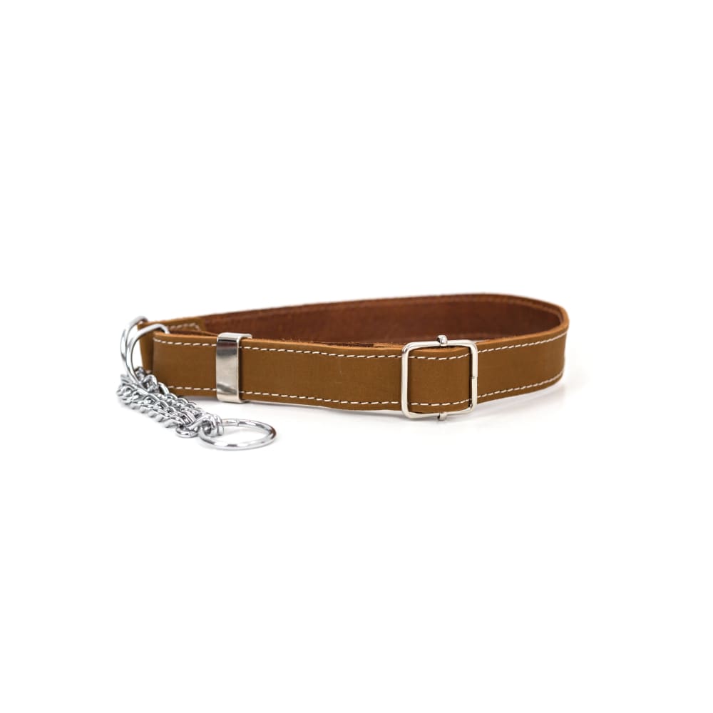 Martingale Earth Brown Leather Dog Collar - Dog Collars