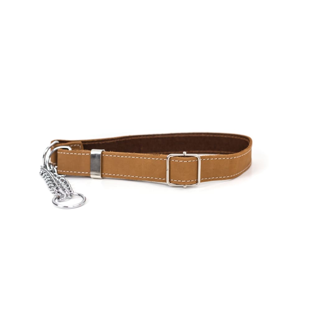 Martingale Khaki Leather Dog Collar - Dog Collars - Euro