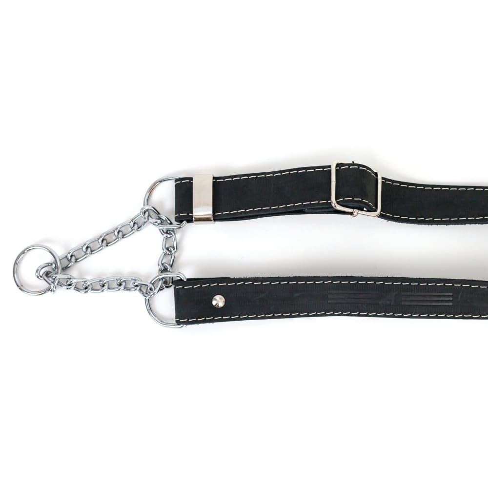 Martingale Midnight Black Leather Dog Collar - Dog Collars