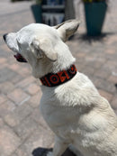 Marula Beaded Dog Collar - Dog Collars - Maasai