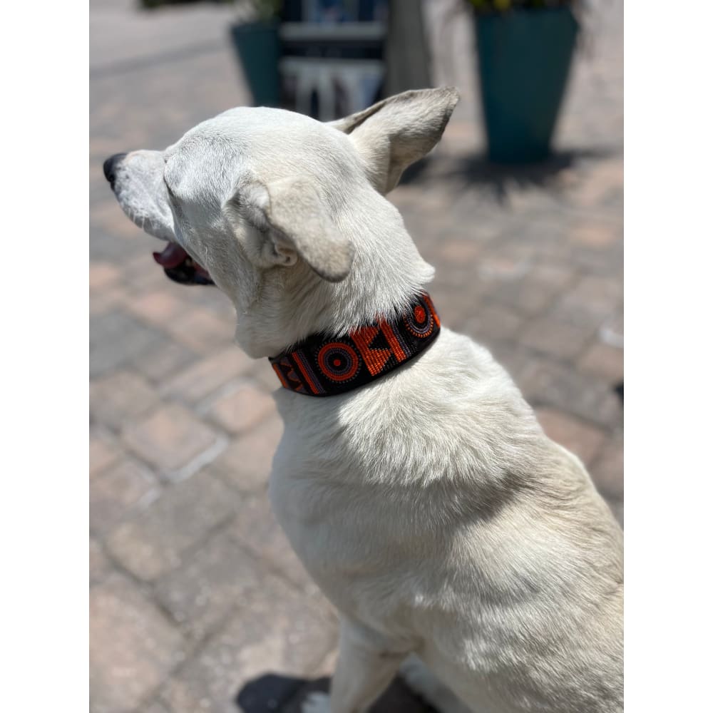 Marula Beaded Dog Collar - Dog Collars - Maasai