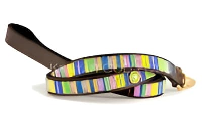 Meadow Beaded Dog Lead - Dog Leashes - Maasai