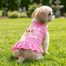 I Melt Hearts Daily Dog Dress