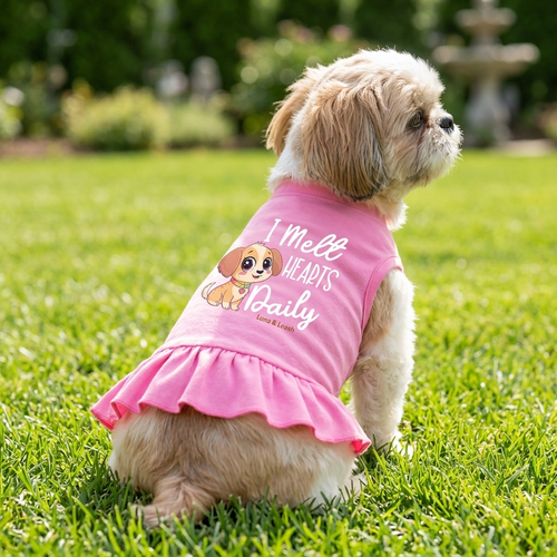 I Melt Hearts Daily Dog Dress