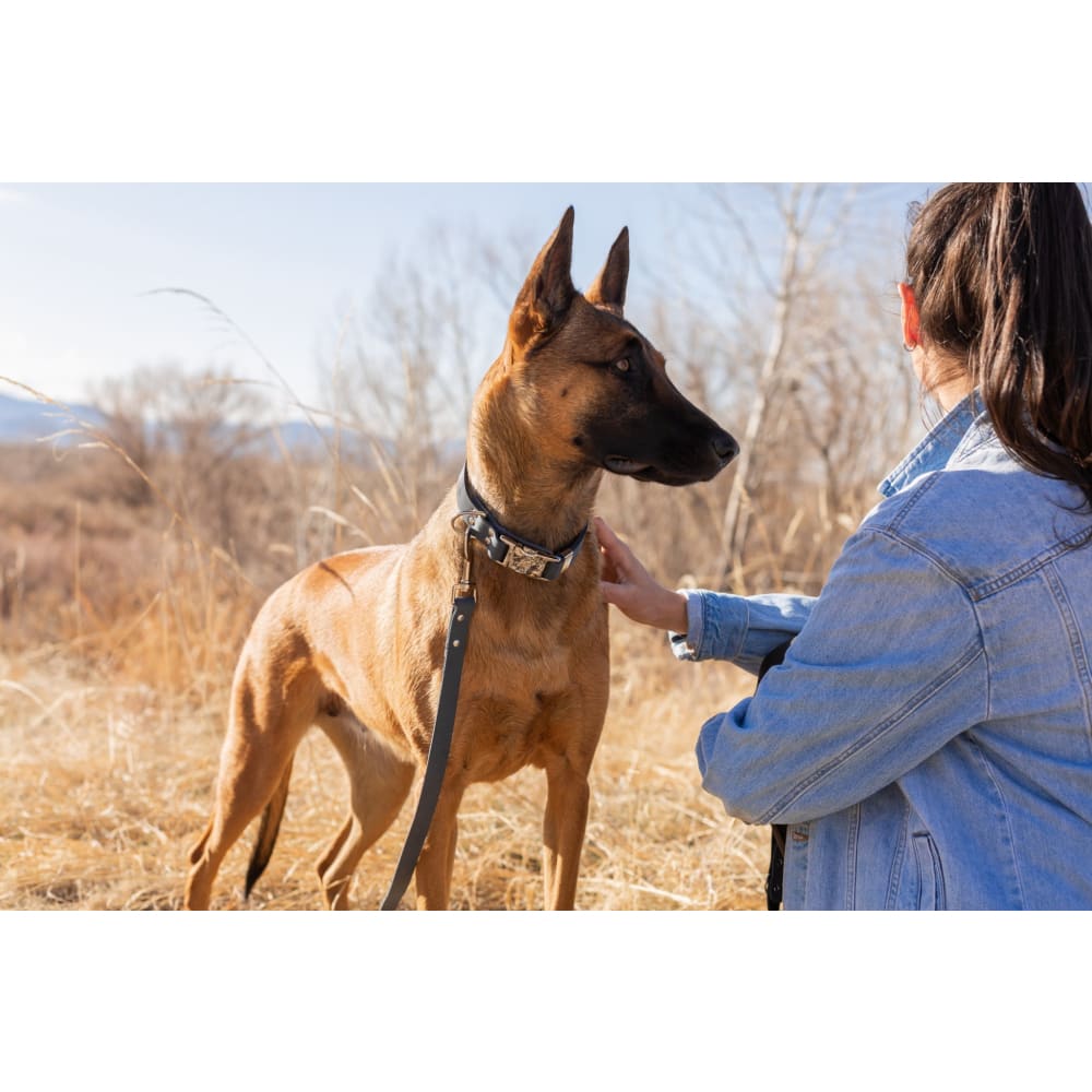 Modern Style Blue Jeans Leather Leash - Dog Leash - Euro