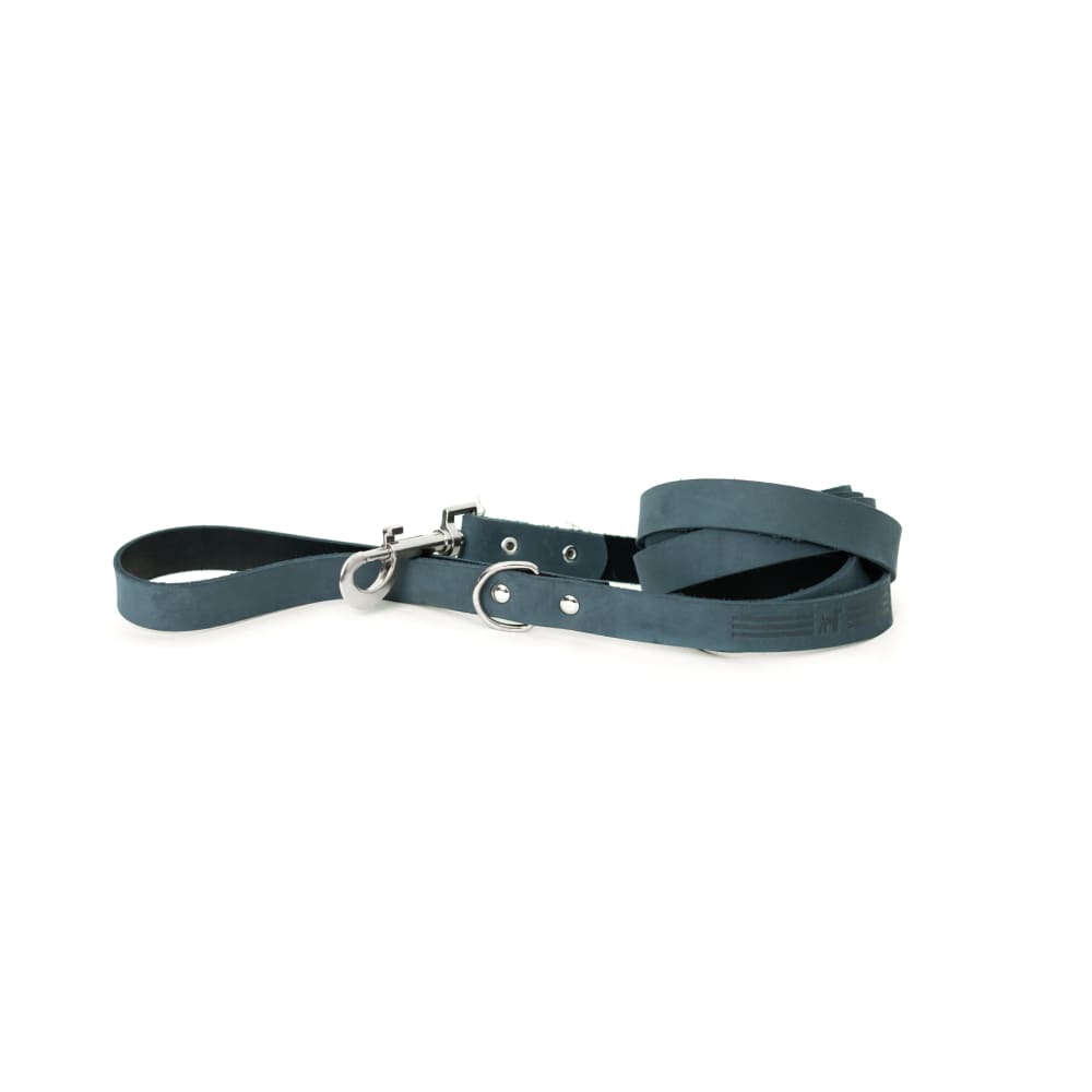Modern Style Blue Jeans Leather Leash - Dog Leash - Euro