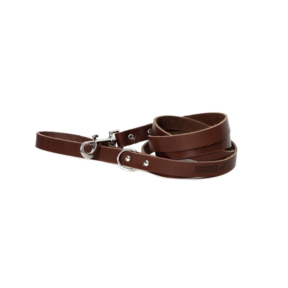 Modern Style Chocolate Leather Leash - Dog Leash - Euro