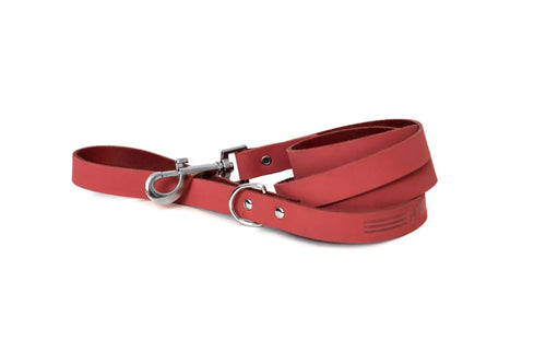 Modern Style Coral Reef Leather Leash - Dog Leash - Euro