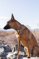 Modern Style Earth Brown Leather Leash - Dog Leash - Euro