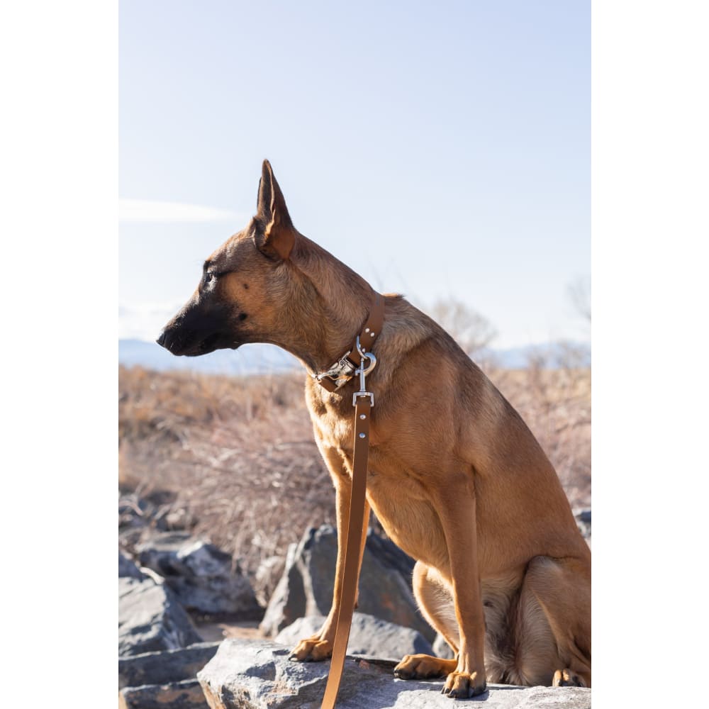 Modern Style Earth Brown Leather Leash - Dog Leash - Euro