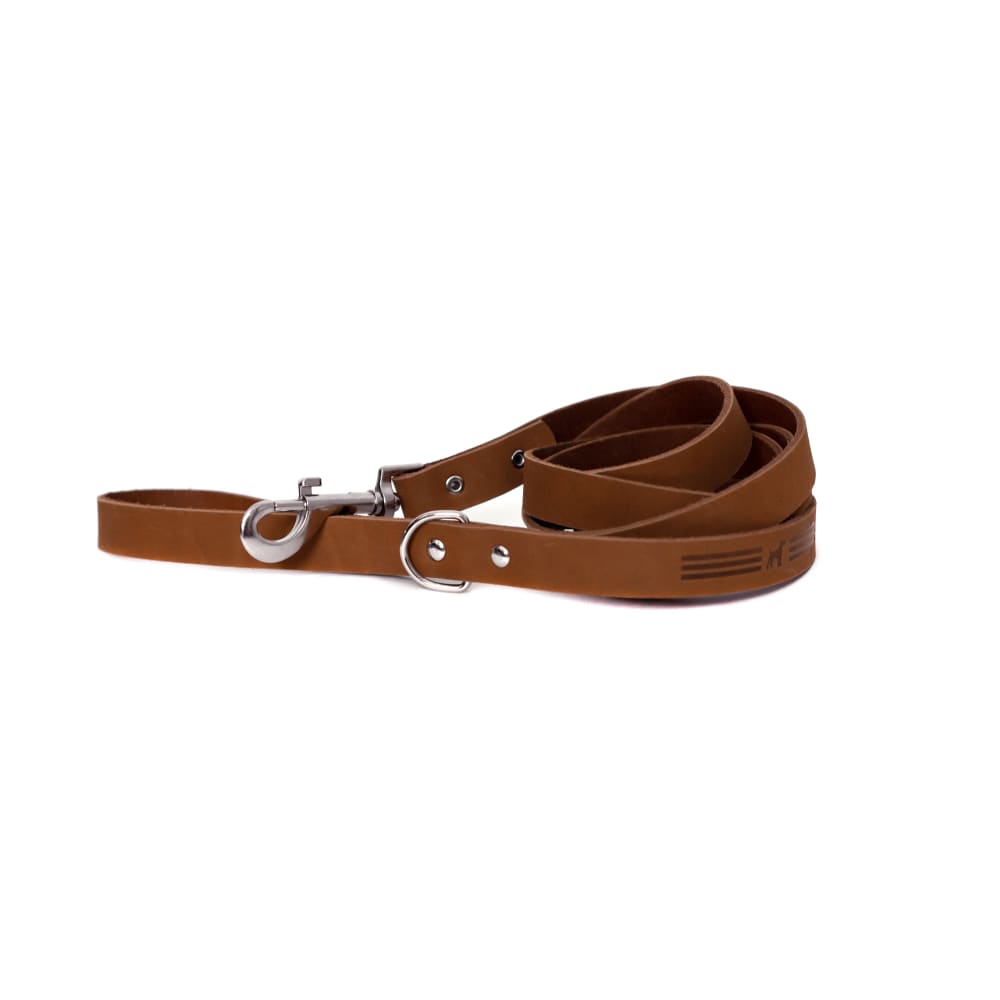 Modern Style Earth Brown Leather Leash - Dog Leash - Euro